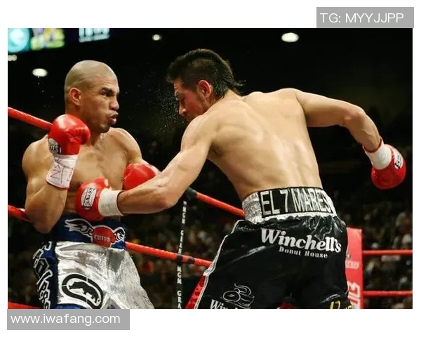 库托与哈顿精彩对决视频回顾分析揭示拳击技巧与战术较量